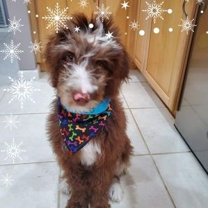 Meet your Posher, Kim